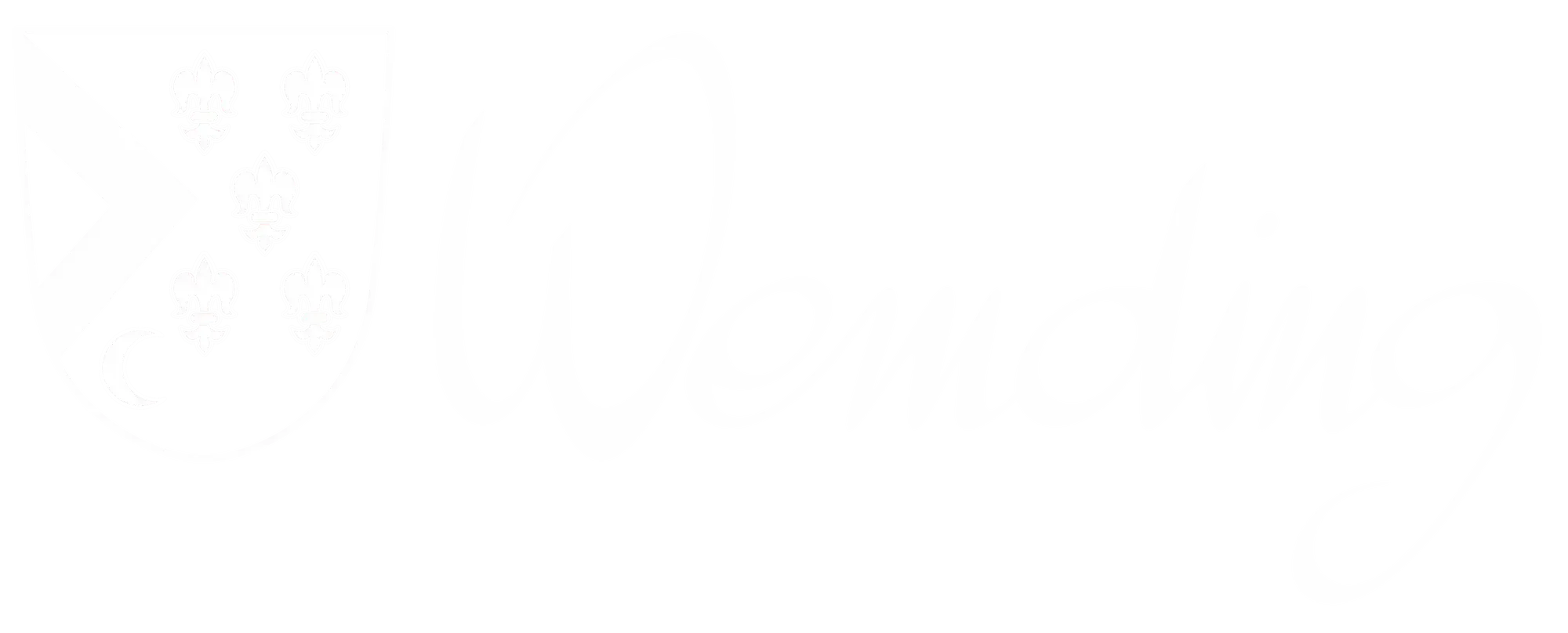 Logo Stadt Wemding